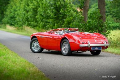 Austin Healey 100/M ‘Le Mans’, 1955