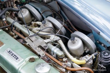 Austin Healey 3000 MK II, 1961