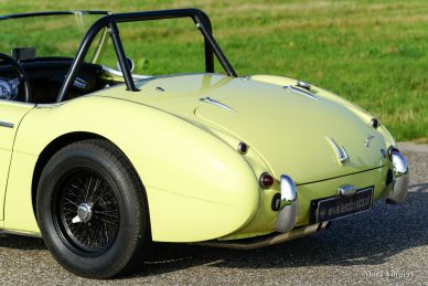 Austin Healey 100/6, 1959