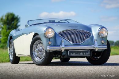 Austin Healey 100/4 (BN1), 1955