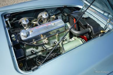 Austin Healey 100/4 (BN1), 1955