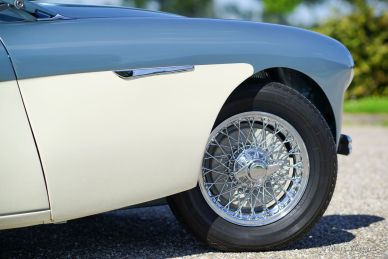 Austin Healey 100/4 (BN1), 1955