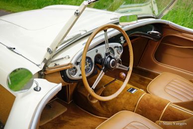 Austin Healey 100/4 BN1, 1955