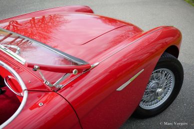 Austin Healey 100/4 BN2, 1956