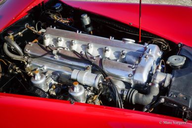 Jaguar XK 120 OTS, 1954