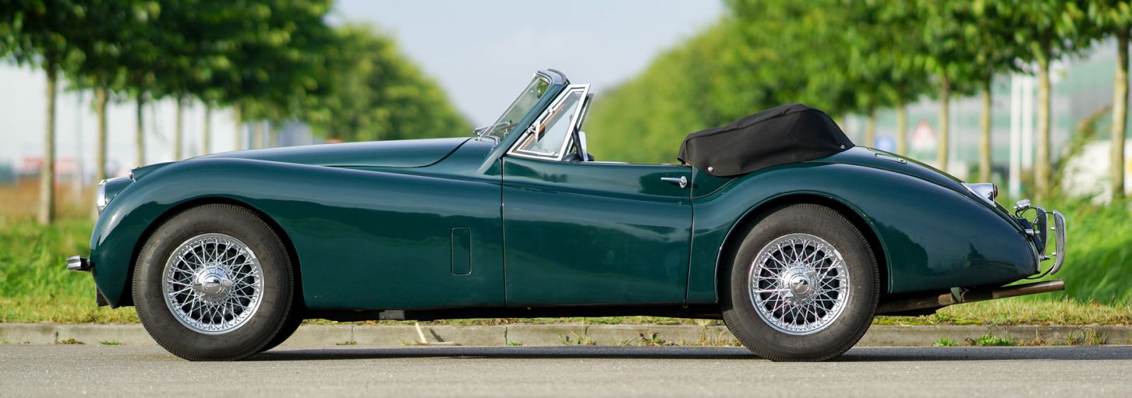 Jaguar XK 120 DHC, 1954