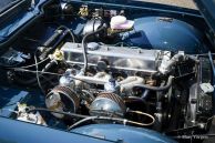 Triumph TR 6, 1968