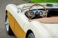 Austin Healey 100/4 BN1, 1955