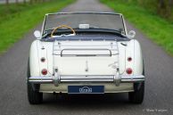 Austin Healey 100/6 BN4, 1957