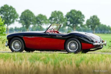 Austin Healey 3000 Mk I, 1959