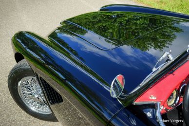 Austin Healey 3000 Mk II, 1959