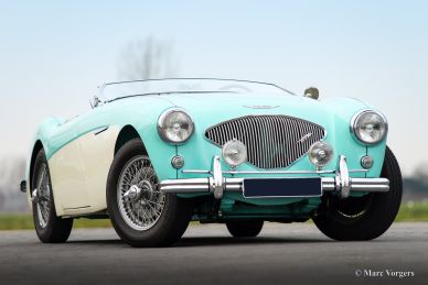 Austin Healey 100/4 BN-1, 1954