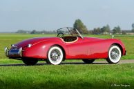 Jaguar XK 120 OTS, 1954