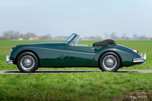 Jaguar XK 140 SE DHC, 1955