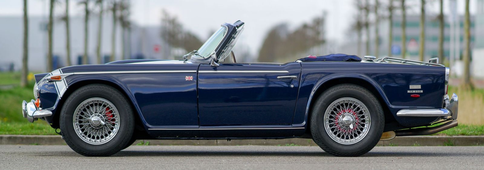 Triumph TR 250, 1967