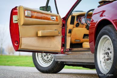 Aston Martin V8 Volante, 1979