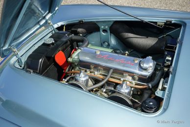 Austin Healey 100/4 (BN1), 1955