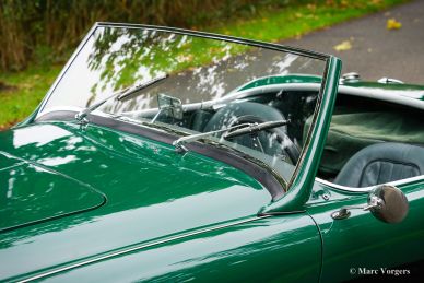 Austin Healey 100/6 BN6 ‘two-seater’, 1958