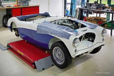Austin Healey 100/M BN1, 1954 Mille Miglia preparation