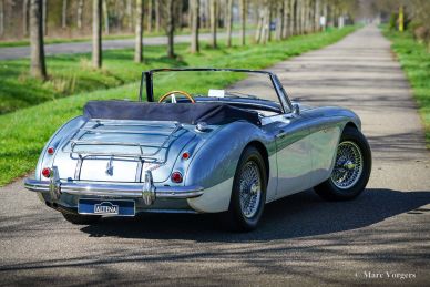 Austin Healey 3000 MK 2 A, 1963