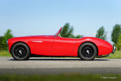 Austin Healey 100/4, 1955