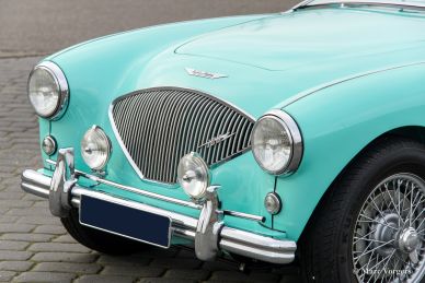 Austin Healey 100/4 BN-1, 1954