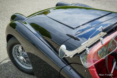 Triumph TR 2 ‘long door’, 1954